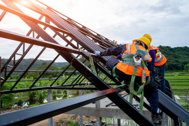 Roof Gutter Cleaning in Pasadena Hills, FL