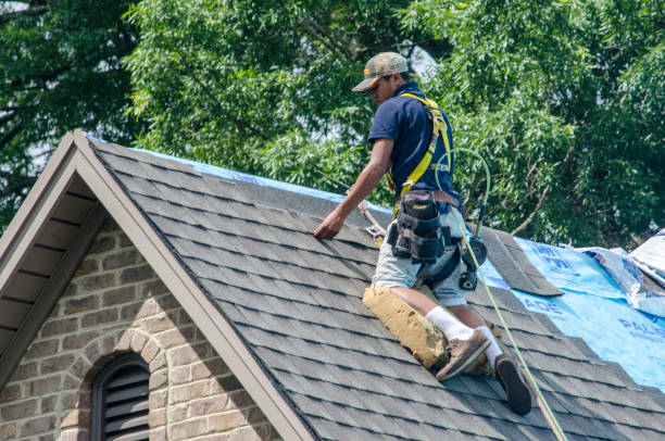 Best Roof Restoration Services  in Pasadena Hills, FL